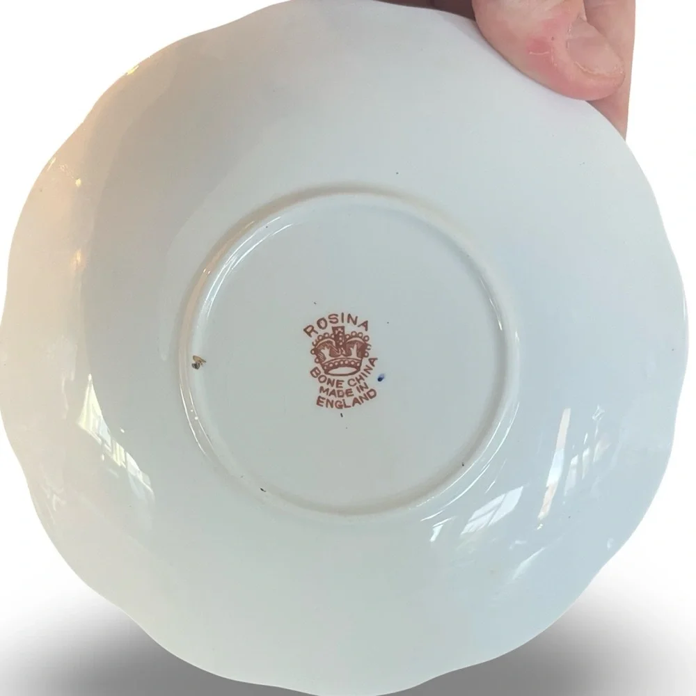 Rosina Bone China Made in England Imari Pattern Tea Cup and Saucer